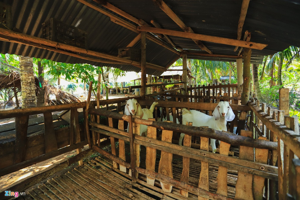 Cha của Jack tâm sự sau khi con trai nổi tiếng, khách đến quán trà sữa đông hơn. “Nhiều học sinh đến uống trà sữa để biết đâu được gặp thằng Tuấn (PV: tên thật của Jack) và xin chữ ký của nó”, cha của nam ca sĩ chia sẻ.