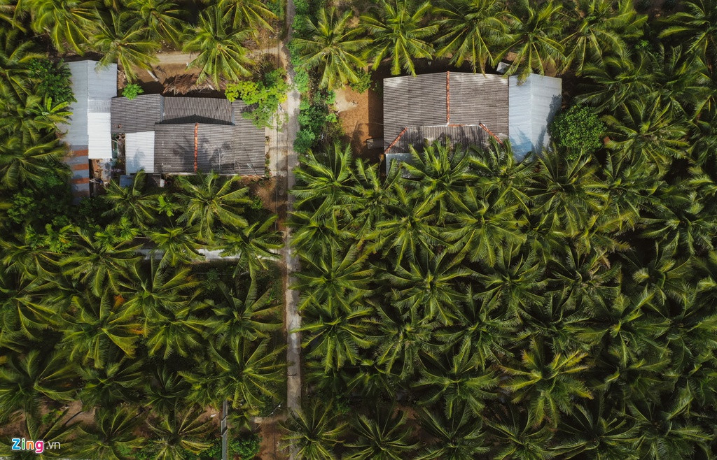 Nơi anh sinh và và lớn lên là căn nhà nhỏ cấp 4, lợp mái tôn, nằm khuất giữa vườn dừa. Đối diện đó là nhà của bác anh.