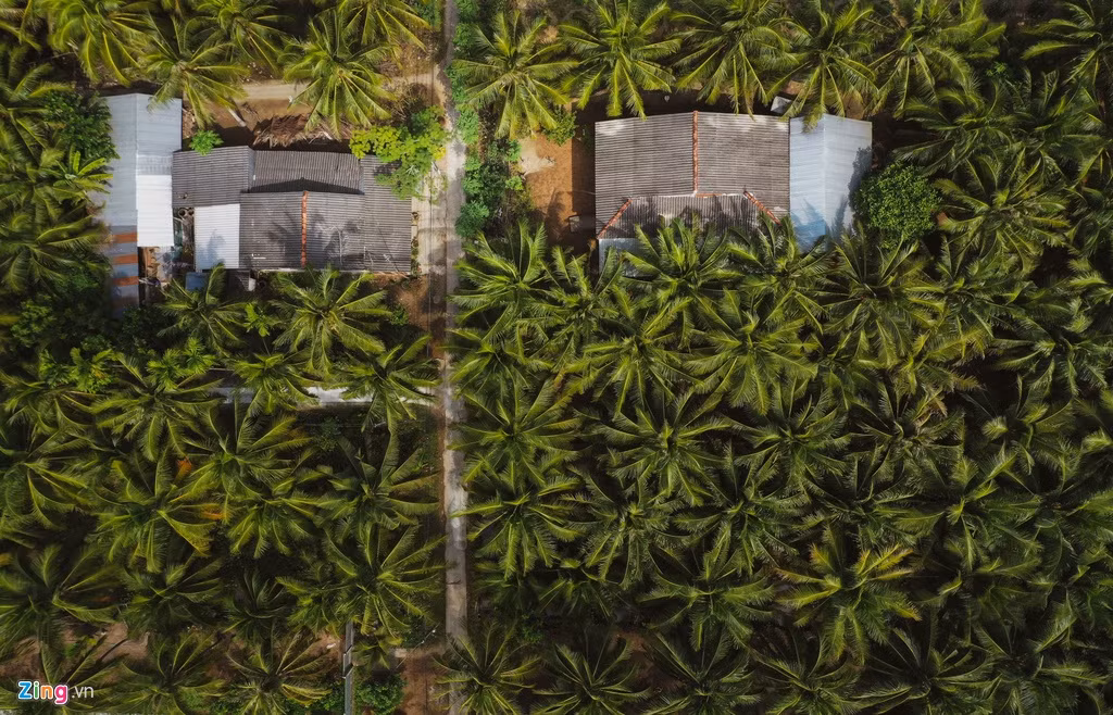 Nơi anh sinh và và lớn lên là căn nhà nhỏ cấp 4, lợp mái tôn, nằm khuất giữa vườn dừa. Đối diện đó là nhà của bác anh.