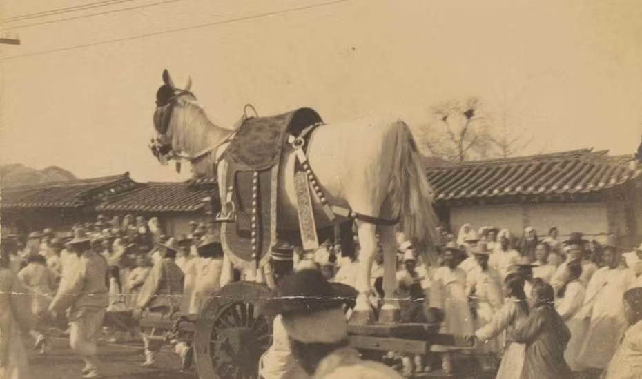 Nghi thức rước ngựa trong đám cưới truyền thống ở Triều Tiên từ cách đây hơn 100 năm. Ảnh Sina