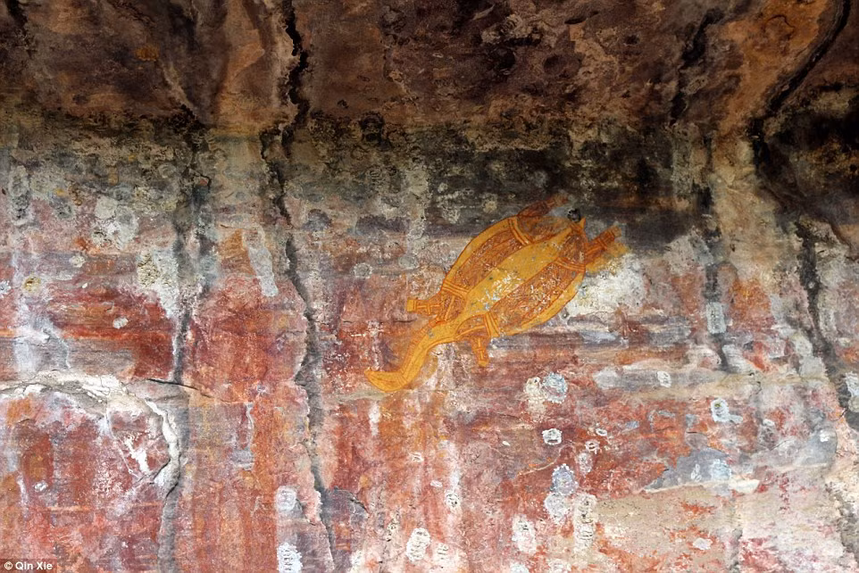 Bức vẽ chú rùa trên vách đá trong hang động Ubirr ở Kakadu. Ảnh Daily Mail