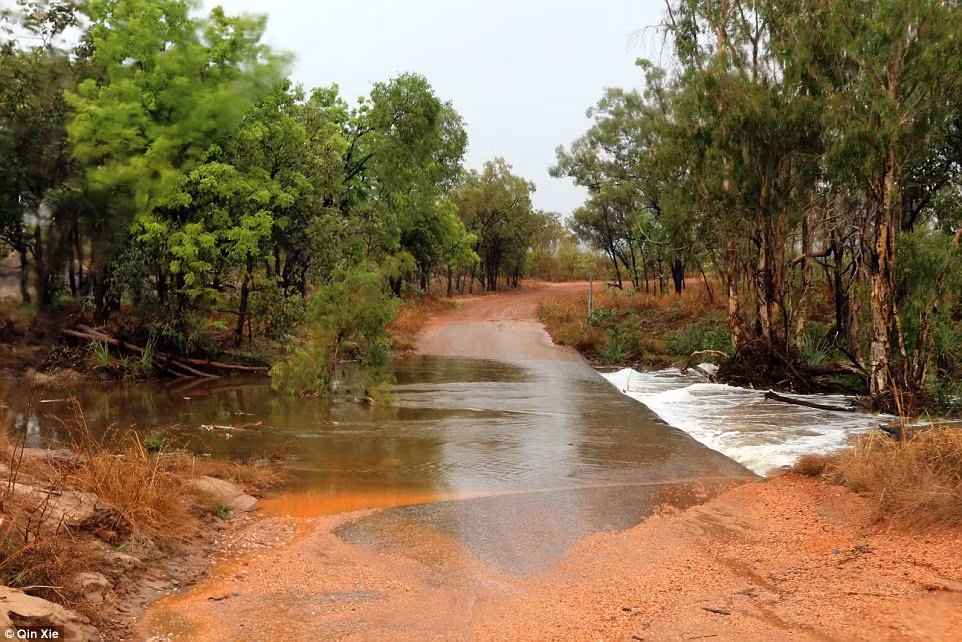 Nhiều con đường ngập nước, bùn sau một trận mưa to ở công viên này. Ảnh Daily Mail