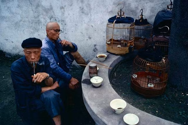 Hai người già vừa ngồi nhâm nhi tách trà, uống thuốc và nghe chim hót ở Thành Đô, Trung Quốc. Ảnh Sina