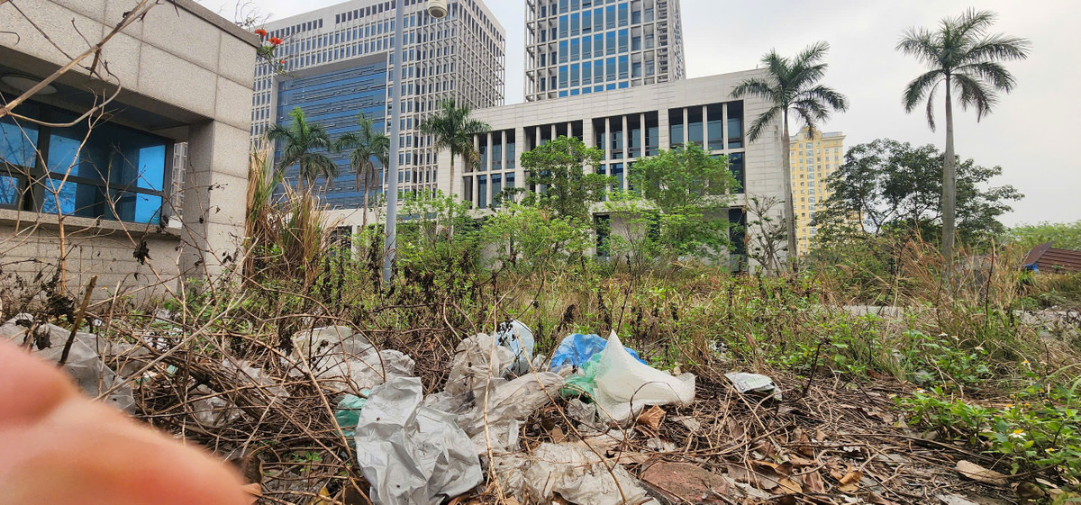 Rác và cây cỏ bủa vây bên trong dự án.