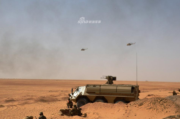 Xe thiết giáp Fuchs-2 có trọng lượng chiến đấu lên tới 17 tấn có khả năng chở theo 9 binh sĩ cùng đầy đủ trang bị, xe được trang bị khả năng phòng chống vũ khí hủy diệt hàng loạt.