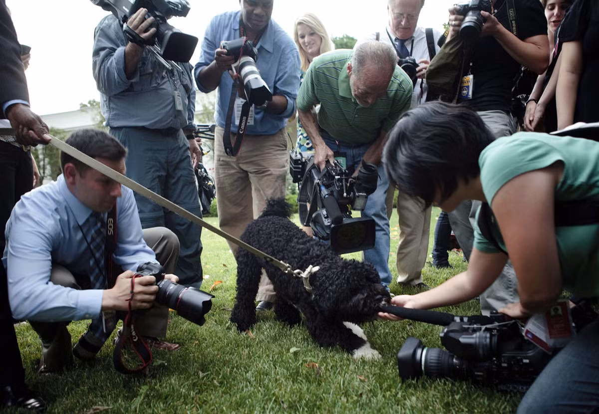Con chó của Tổng thống Barrack Obama luôn là điểm nhấn truyền thông mỗi khi xuất hiện trước đám đông. Nguồn ảnh: Theatlantic.