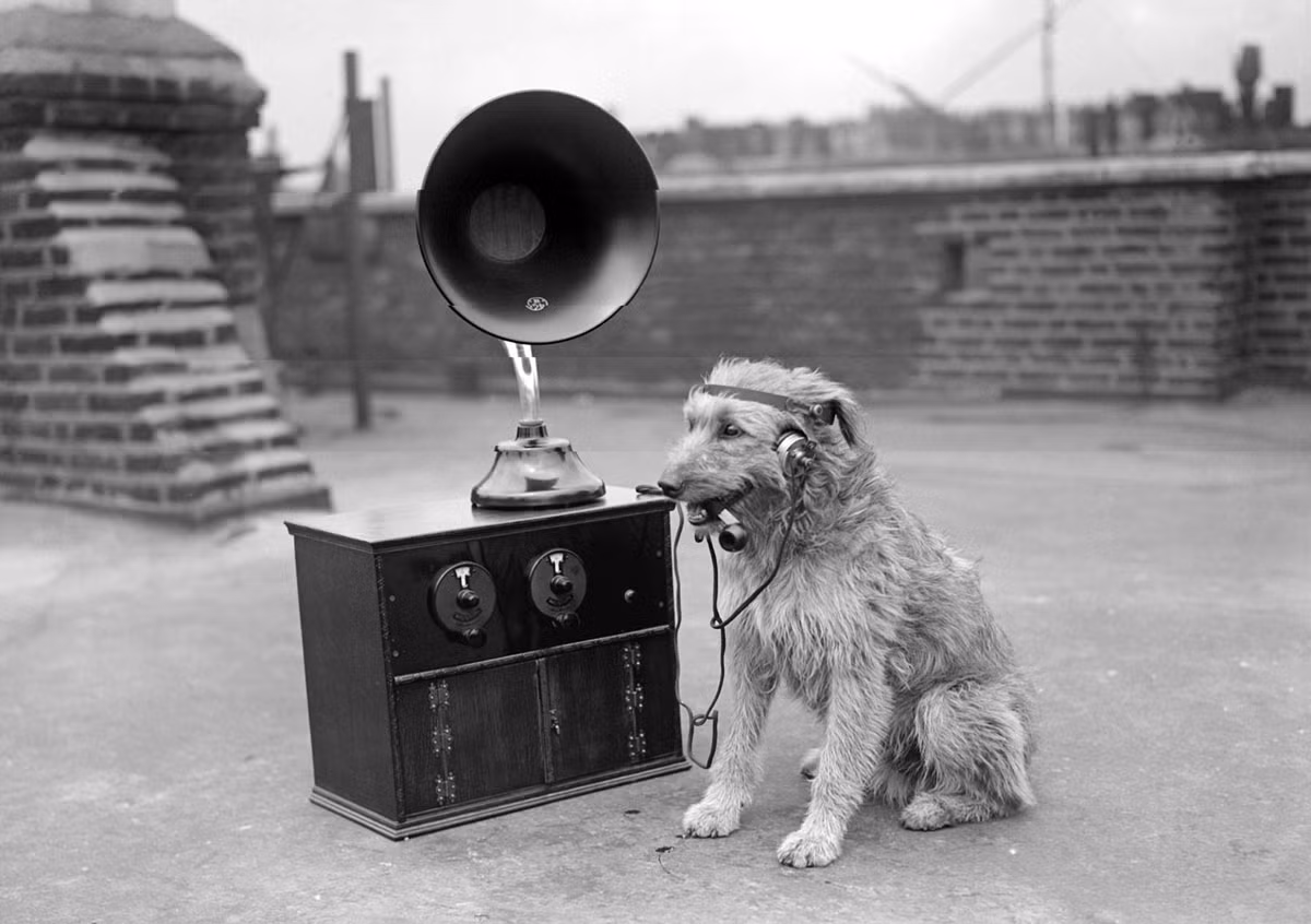 Hình ảnh thú vị về một chú chó đang chăm chú nghe sóng phát thanh trực tiếp qua radio năm 1929. Nguồn ảnh: Theatlantic.