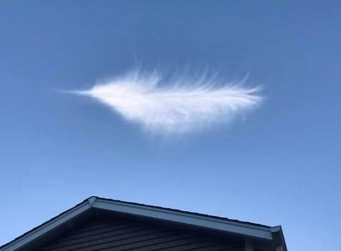Nếu không chú thích, hẳn mọi người sẽ tưởng đây là một chiếc lông vũ nhưng thực ra nó lại là một đám mây độc đáo trên bầu trời.