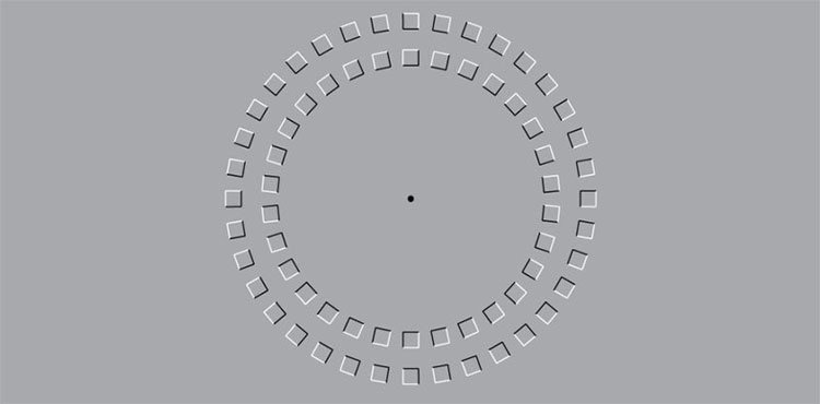 Ao anh thi giac noi tieng thuc su khien nao 