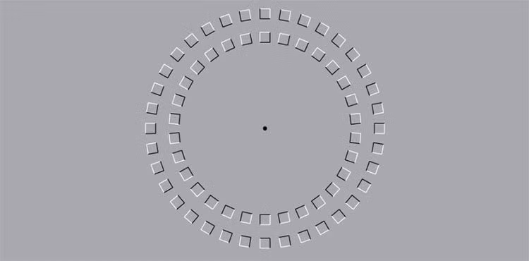 Ảo ảnh thị giác nổi tiếng thực sự khiến não "đơ" - Hình 2 Ao anh thi giac noi tieng thuc su khien nao