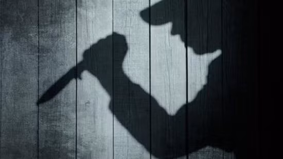 Bà Thiểu trách mắng con trai hay nhậu nhẹt, Tho Em cảm thấy bực tức nên đi vào nhà bếp để tìm đánh mẹ. Nhân lúc người mẹ đang khom người xuống đất nhặt đồ, bị can lấy 1 con dao dài 47cm đi đến sau lưng, cắt một nhát thật mạnh vào cổ nạn nhân khiến bà Thiểu tử vong tại chỗ.