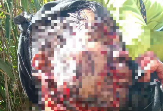  Một người dân bị gấu rừng tấn công kinh hoàng: Khoảng 9h ngày 19/11, ông Hồ Văn Hội (SN 1976; ngụ làng Long Héc, thôn 3, xã Trà Linh) lên thăm vườn sâm một người bạn ở xã Trà Linh (huyện Nam Trà My, tỉnh Quảng Nam) sau thời gian mưa bão thì bị một con gấu rừng tấn công. Ông Hội bị gấu tát rách mặt, cổ, đầu và mắt với những vết thương khá sâu, mất nhiều máu. 