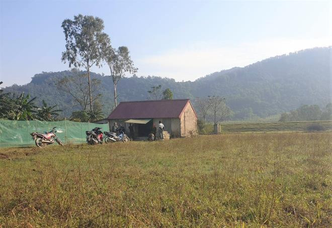 Cha chong danh con dau, chau nguy kich: An nao cho bo chong?