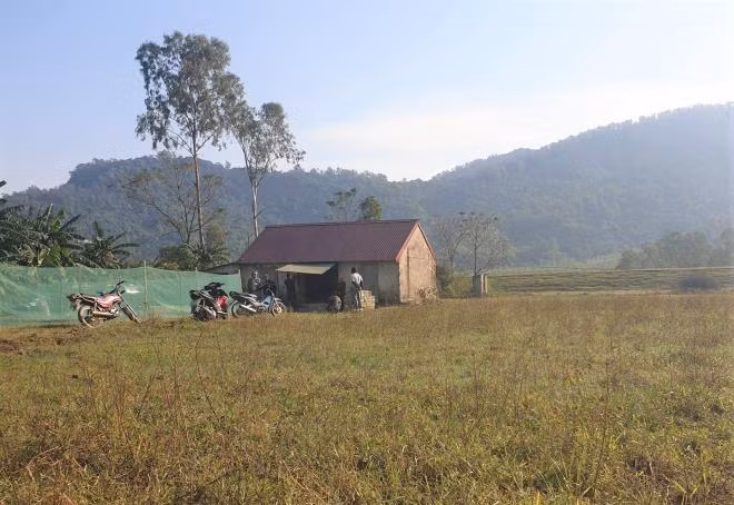 Cha chong danh con dau, chau nguy kich: An nao cho bo chong?