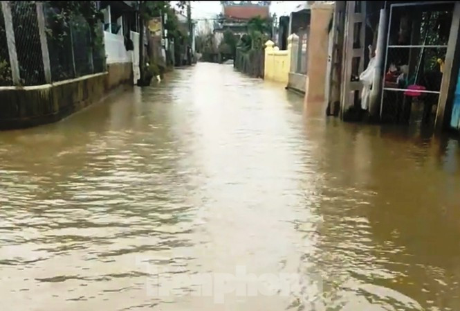  5. Xe công nông lật giữa nước lũ, nữ sinh trường Du lịch tử nạn: Sáng 13/11, ông Trần Quang Hùng (trú tại xã Quảng An, huyện Quảng Điền (tỉnh TT-Huế)) dùng xe công nông chở người qua các điểm ngập. Lúc này, em Trần Thị Ngọc H. (SN 2001, người xã Quảng An, là sinh viên khoa Du lịch - Đại học Huế) muốn đến Huế để đi học, nên đã xin đi nhờ xe công nông của ông Hùng. Khi xe di chuyển từ thôn Mỹ Xá, xã Quảng An thì bị lật, khiến em H. đuối nước tử vong. 