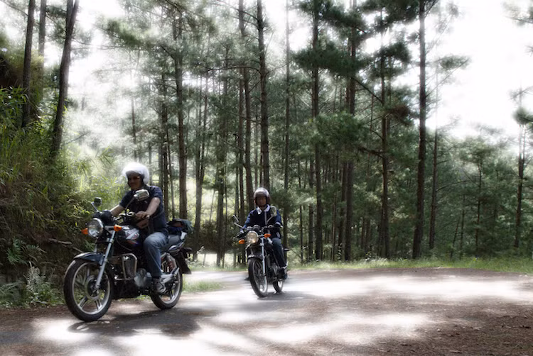 Được mệnh danh là "Đà Lạt của miền Bắc" và cách không xa Hà Nội, Tam Đảo hấp dẫn những "phượt thủ" ít kinh nghiệm nhờ những con đường núi không quá thử thách cùng mây mù cuộn xung quanh những mái nhà và núi rừng.