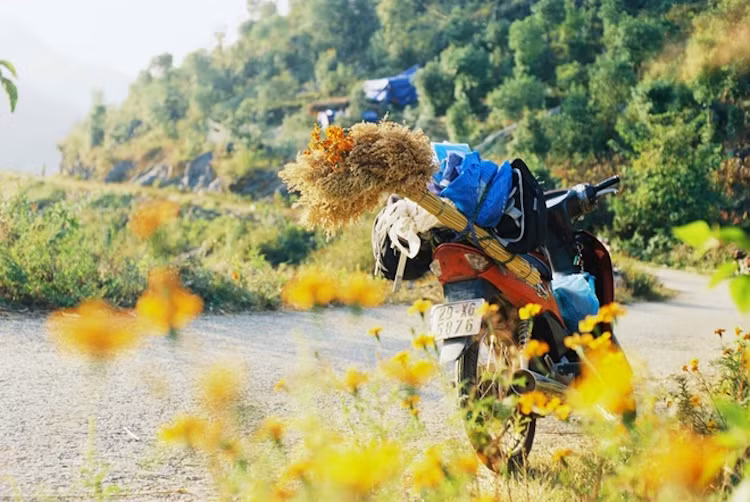 Được mệnh danh là một trong những trục đường đẹp nhất miền Bắc, cung Yên Minh - Lũng Cú - Mèo Vạc - Hà Giang - Đèo Ngang dễ dàng khiến những người chinh phục bị "choáng ngợp" bởi khung cảnh thiên hiện hùng vĩ, các địa danh như cổng trời Quản Bạ, núi đôi Hai Cô Tiên hay những nét văn hóa đặc sắc của người Mường.