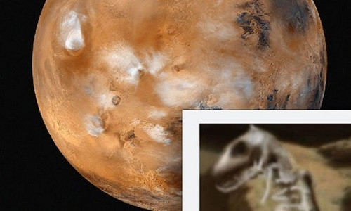 Xon xao phat hien hoa thach khung long tren sao Hoa