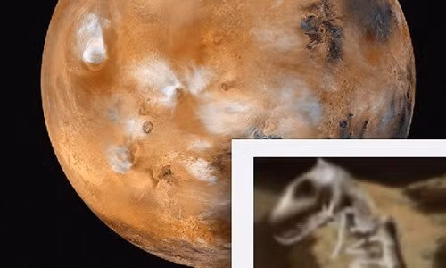 Xon xao phat hien hoa thach khung long tren sao Hoa