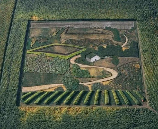 Phong cảnh làng quê trở nên sống động nhờ nghệ thuật Crop Art của Herd.