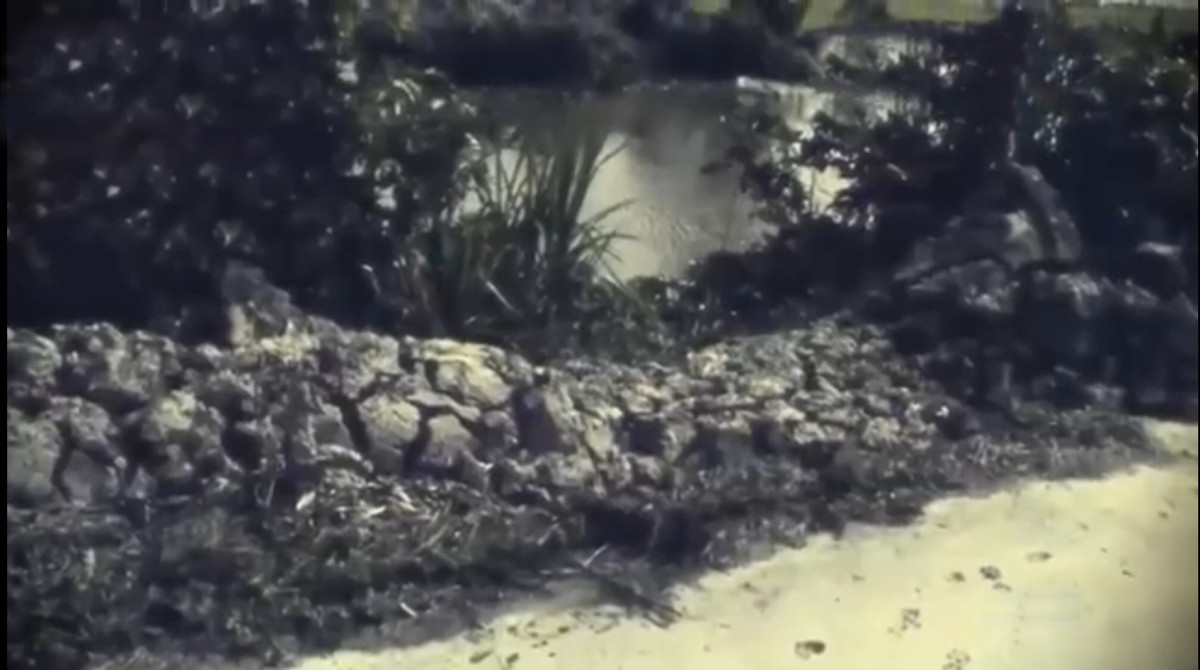 Hanh trinh pha an: Cai chet tuc tuoi cua nam tai xe xe om