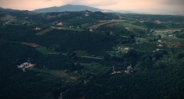 Đặc biệt, thời điểm này bà Nghiêm Thị Nhi bất ngờ không có ở nhà mà thuê xe ôm vội vã rời khỏi địa phương, ra thị trấn Liên Nghĩa, huyện Đức Trọng (Lâm Đồng).