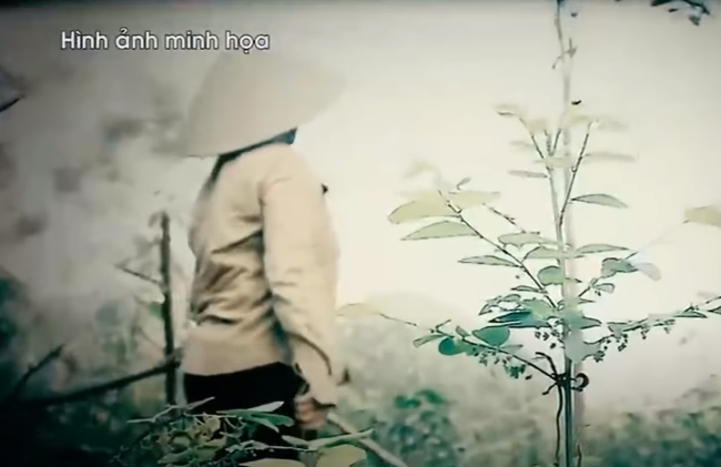 Sau đó, bà Vượng lại xin bà Nhi cho hái bơ trong vườn. Tuy nhiên, lúc đó do bà Nhi bị bệnh rối loạn nhân cách nên cho rằng anh Đàm Văn Quyết (con trai của bà Vượng) đã từng sửa số CMND của mình, làm ảnh hưởng đến thủ tục vay vốn ngân hàng của gia đình trước đây. Ngoài ra, Nhi nhớ lại vào năm 2018 bà Vượng cùng con dâu đã nghi ngờ Nhi lấy trộm điện thoại di động của bà Vượng nên muốn trả thù.