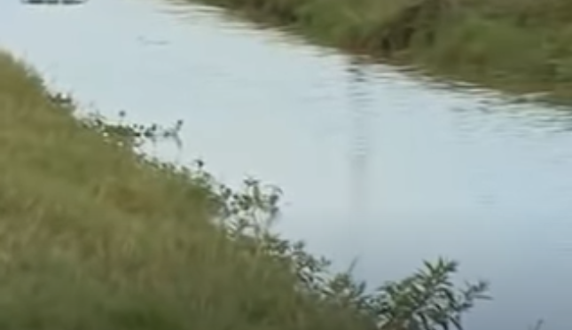 Hanh Trinh Pha An: Rung ron xac chet bi dong coc duoi muong nuoc