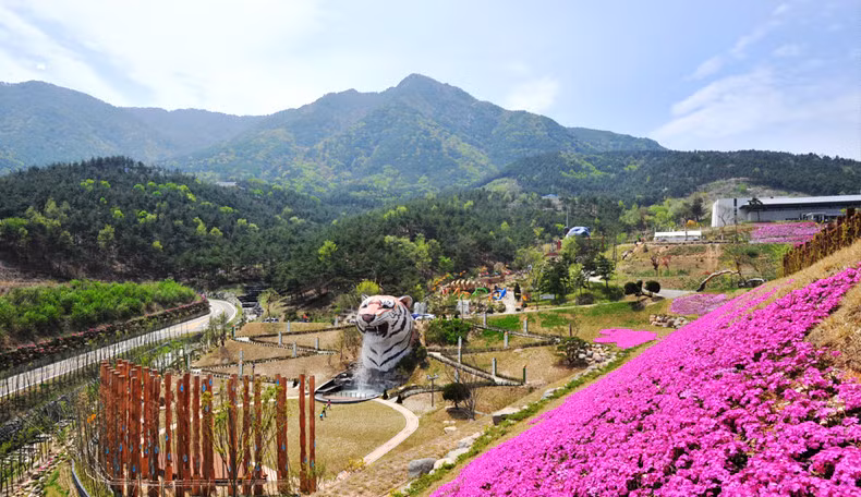  Làng Dongguibogam: Đây là ngôi làng nổi tiếng với những cây dược liệu quý được dùng trong Đông y. Tại đây, du khách sẽ được ghé thăm Bảo tàng Đông y đầu tiên của Hàn Quốc. Hàng năm, nơi đây còn có Lễ hội y học cổ truyền thu hút rất đông du khách nước ngoài và người Hàn Quốc. Khi tham gia lễ hội này, bạn sẽ được trải nghiệm các phương pháp điều trị bằng Đông y, tìm hiểu về các cây thảo dược. Ảnh: Sancheong.