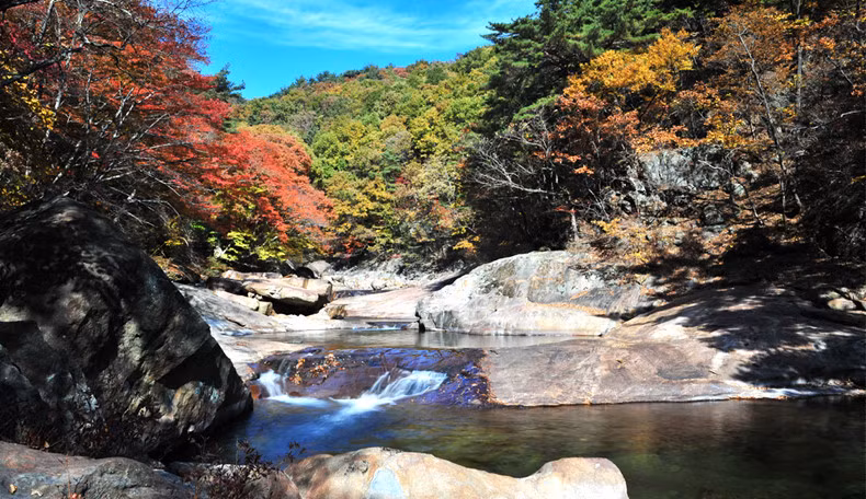  Thung lũng Daewonsa: Đây là địa điểm có phong cảnh hoang sơ, tuyệt đẹp. Nếu chú ý lắng nghe, bạn sẽ cảm nhận được tiếng nước chảy trên những tảng đá trong thung lũng, tiếng gió thổi trong khu rừng rậm và tiếng chim hót líu lo. Dòng nước chảy trong thung lũng dài 12 km bắt nguồn từ các đỉnh của núi Jirisan. Ảnh: Sancheong.