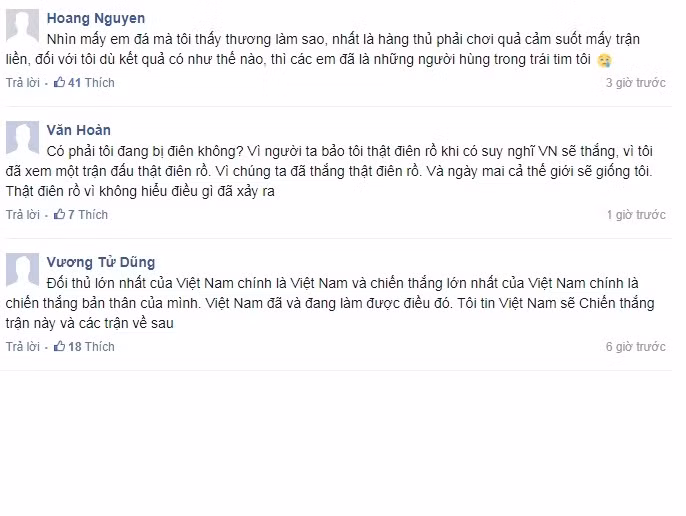 Không tin vào mắt mình khi chứng kiến các cầu thủ thi đấu xuất sắc và giành chiến thắng nghẹt thở, nhiều cư dân mạng, người hâm mộ đã nghĩ mình đang trong mơ. Trong khoảnh khắc niềm vui vỡ òa, độc giả Văn Hoàn viết: "Có phải tôi đang bị điên không? Vì người ta bảo tôi thật điên rồ khi có suy nghĩ VN sẽ thắng, vì tôi đã xem một trận đấu thật điên rồ. Vì chúng ta đã thắng thật điên rồ. Và ngày mai cả thế giới sẽ giống tôi. Thật điên rồ vì không hiểu điều gì đã xảy ra?". Còn độc giả Lý Hoàng Hon lại viết: "Đội tuyển nhiều lần thất bại có lúc tôi muốn từ bỏ niềm đam mê của mình nhưng đó là không thể vì tôi là người Việt Nam... Hôm nay thật sự cảm ơn các bạn đã mang đến niềm tự hào cho dân tộc Việt!".