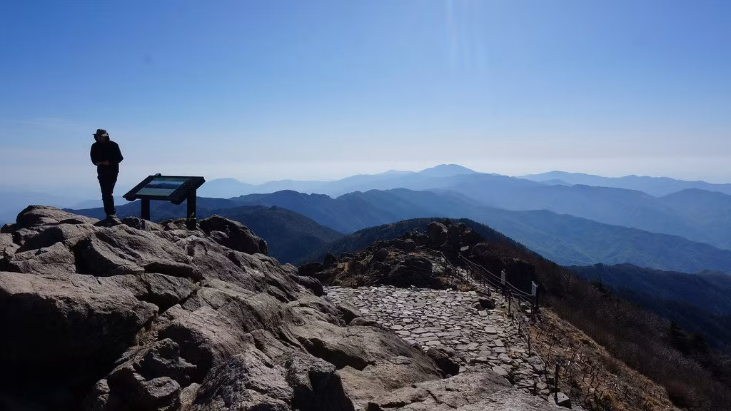 Để leo lên đỉnh cao nhất của núi Jirisan, du khách phải di chuyển khoảng 5 tiếng. Vào mùa thu, cảnh sắc nơi đây trở nên tuyệt đẹp với những rừng cây đổi màu. Ảnh: FivePrime.