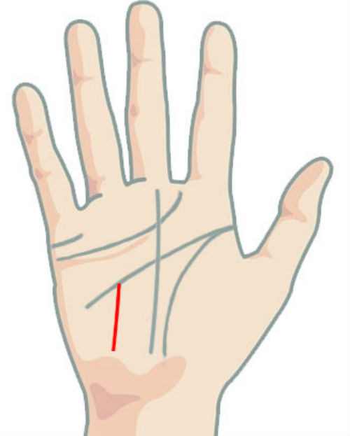 Đường Thái Dương thẳng, ngắn xuất hiện giữa lòng bàn tay là dấu hiệu của người thông minh. Họ dễ dàng thành công trước tuổi 35.