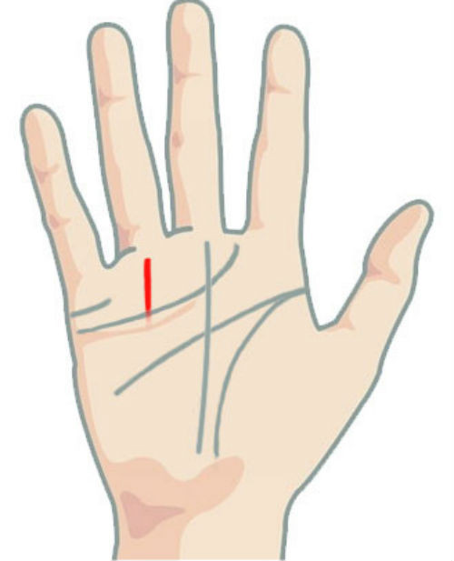 Nếu đường này ngắn, chỉ chạm đến đường tình duyên là người có được cả danh tiếng và sự nghiệp ở tuổi 40.