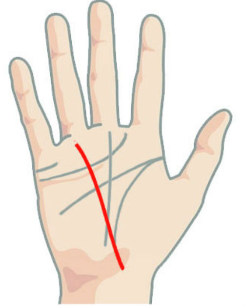 Đường Thái Dương kéo dài từ ngón đeo nhẫn qua lòng bàn tay đến gần sát cổ tay về phía ngón cái là người dễ dàng thành công nhờ sự giúp đỡ của gia đình.