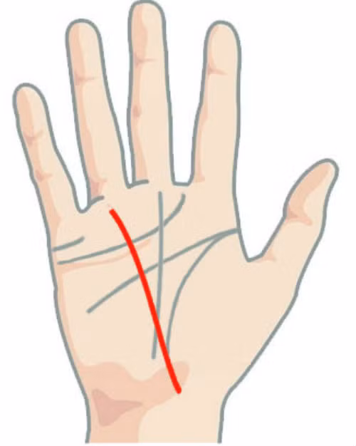 Đường Thái Dương kéo dài từ ngón đeo nhẫn qua lòng bàn tay đến gần sát cổ tay về phía ngón cái là người dễ dàng thành công nhờ sự giúp đỡ của gia đình.