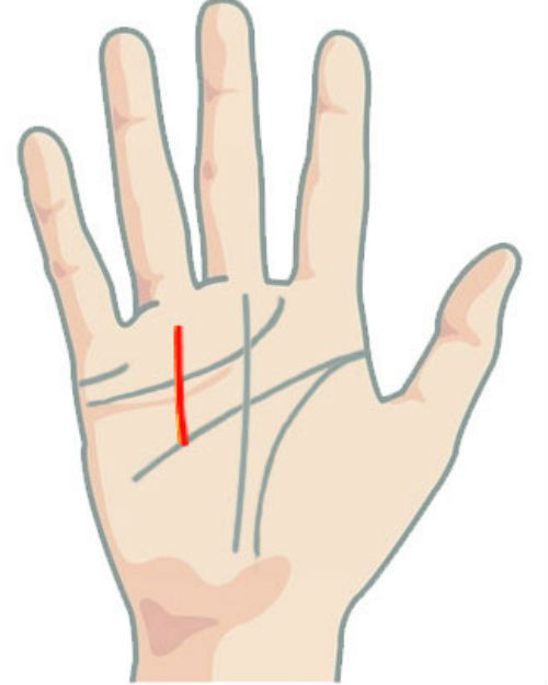 Trong khi đó, đường chỉ tay này ngắn, nằm sát ở phía ngón đeo nhẫn là tướng của người nhanh nhẹn. Những người này rất giỏi trong các mối quan hệ xã hội. Đây cũng chính là ưu điểm giúp họ gặt hái thành công.