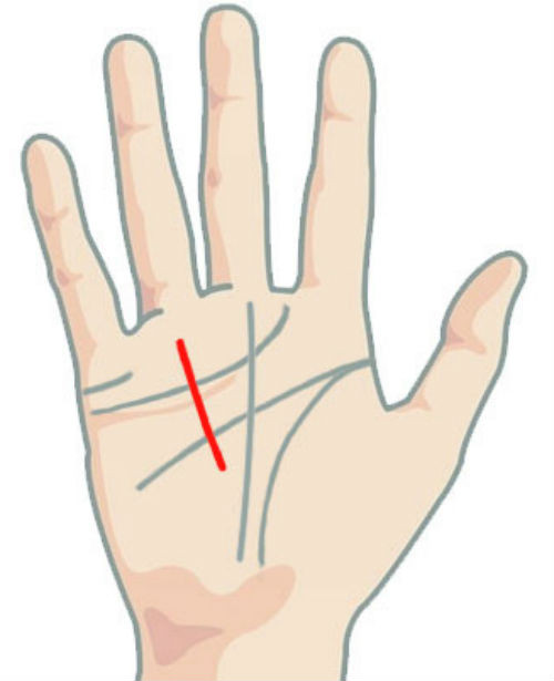 Người sở hữu đường Thái Dương xuất phát từ ngón đeo nhẫn, hướng vào giữa lòng bàn tay thường vất vả trong những năm đầu lập nghiệp. Nhờ nỗ lực không ngừng của bản thân, họ bắt đầu có được danh tiếng và thành công ở tuổi trung niên.