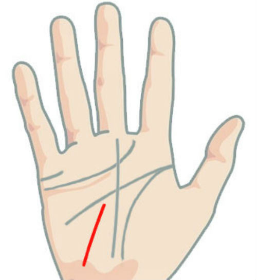Đường chỉ tay này bắt đầu từ giữa lòng bàn tay đến cổ tay là biểu hiện của người thành công lớn khi còn trẻ. Tuy nhiên, do sự bằng lòng với hiện tại nên về già không gặt hái được nhiều thành công rực rỡ.