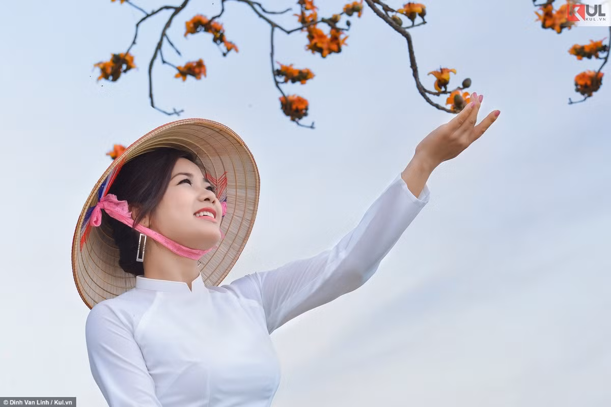 Nếu nhìn thực tế thì hoa gạo không để ăn, thân gỗ gạo không thể làm nhà, thể chất của gạo không làm nên giá trị gì. Nhưng nếu nói đến góc độ mỹ thuật hay tinh thần thì hoa gạo trở thành biểu tượng của làng quê, là hình ảnh của sự mộc mạc, chân chất của những người nông dân.