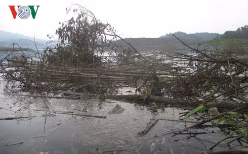 Nguy co o nhiem tai ho Ngan Truoi: Co quan chuc nang noi gi?-Hinh-2