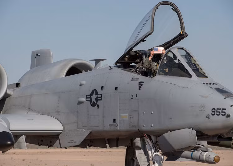 A-10 Thunderbolt II hiện tại là loại cường kích cơ phổ biến và uy lực nhất được Không quân Mỹ sử dụng. Loại cường kích cơ hai động cơ một chỗ ngồi này đã được đưa vào biên chế từ năm 1977 nhưng tới nay chỉ duy nhất Không quân Mỹ sử dụng loại cường kích cơ này. Nguồn ảnh: BI.