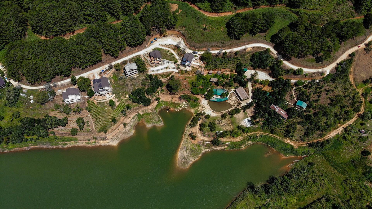 Các doanh nghiệp sở hữu dự án có sai phạm trong danh sách bao gồm Công ty cổ phần đầu tư Lý Khương, Công ty cổ phần đầu tư Lan Anh Đà Lạt, Công ty cổ phần Thiên Nhân, Công ty cổ phần Sao Đà Lạt, Công ty TNHH Trà Vườn Thương, Công ty cổ phần du lịch sinh thái Lạc Nam, Doanh nghiệp tư nhân Phong Phú - Lâm Đồng, Khu du lịch nghỉ dưỡng và sinh thái Toàn Cầu, Công ty cổ phần Nhật Nguyên, Công ty TNHH Li Mi…