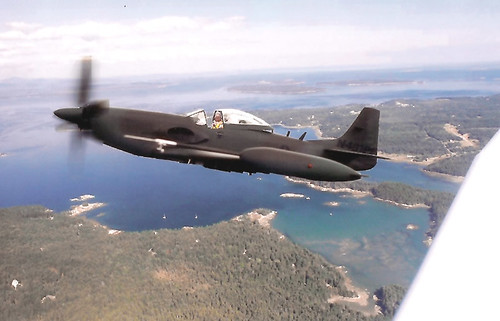 Với khả năng tấn công các mục tiêu mặt đất ở cường độ thấp, các loại máy bay chống chiến tranh du kích này sẽ thường được trang bị hoả lực chính thường là pháo cỡ lớn (từ 37 mm trở xuống) và có tốc độ bay tối thiểu cực chậm để thả bom chính xác.. Nguồn ảnh: Wiki.