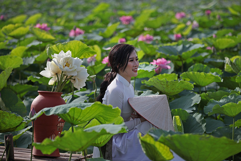 Không chỉ có sen tự nhiên, các chủ đầm còn trang bị các phụ kiện như bình hoa, thậm chí mua sen trắng về cắm bình để làm đạo cụ chụp ảnh cho khách hàng.