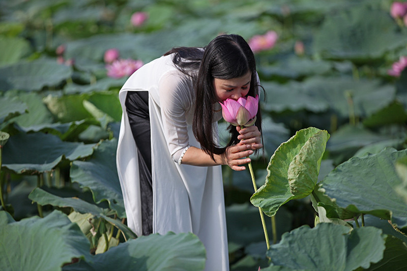 Tạo dáng chụp ảnh đắm đuối với hương sen.