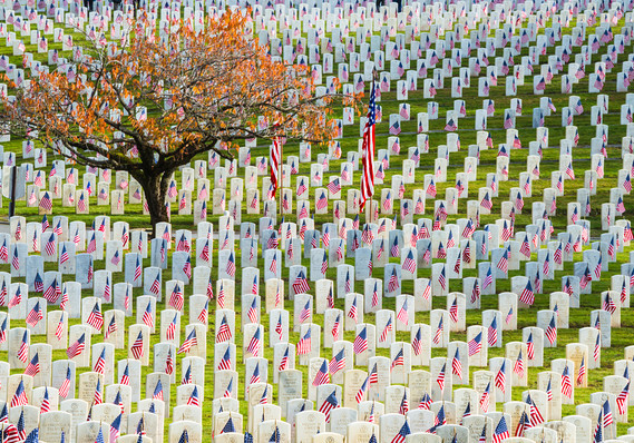 Giống như nhiều quốc gia khác trên thế giới, Mỹ cũng có rất nhiều nghĩa trang liệt sĩ rộng mênh mông - là nơi an nghỉ của những người đã đổ máu để xây dựng lịch sử quốc gia này. Nguồn ảnh: Marketwatch.