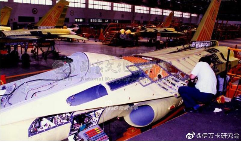 Phiên bản chiến đấu của loại chiến đấu cơ này chỉ có một chỗ ngồi, sải cánh rộng 9 mét trong khi chiều dài máy bay đạt 14,48 mét. Điều này khiến cho trọng lượng cất cánh tối đa của IDF chỉ là 9,5 tấn - cao hơn trọng lượng rỗng 3 tấn. Nguồn ảnh: Sina.