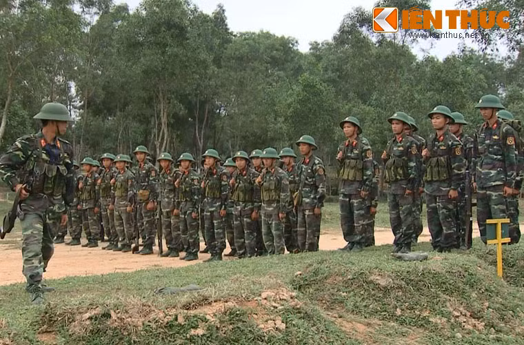 Sư đoàn đã bắn rơi và phá hủy 680 máy bay, góp phần cùng với quân và dân cả nước đánh tháng đế quốc Mỹ xâm lược.