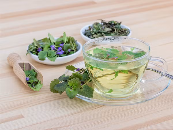 Trà xô thơm đã được chứng minh là làm tăng hoạt động của insulin ở bệnh nhân tiểu đường. Ảnh: boldsky.